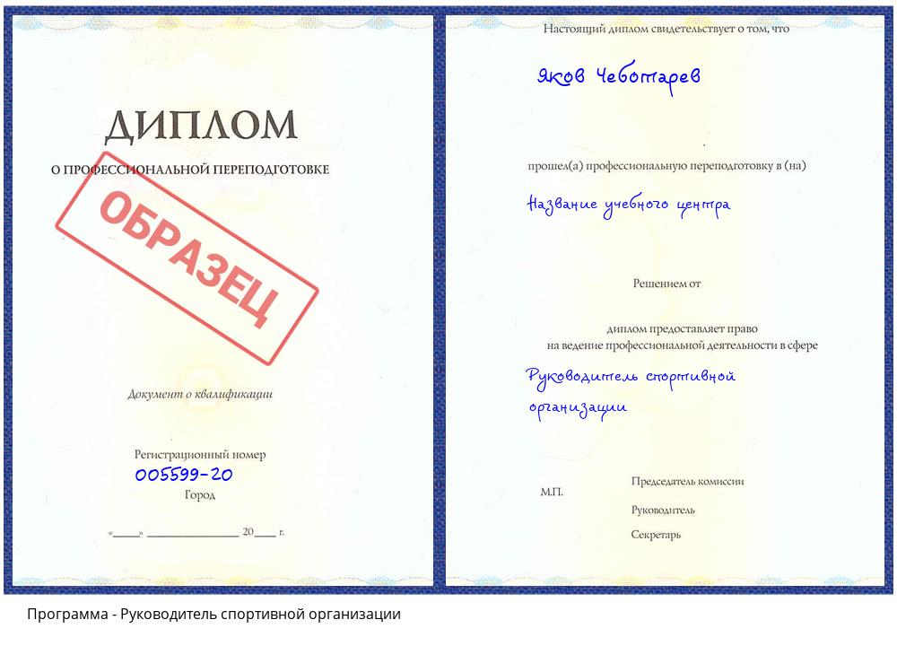 Руководитель спортивной организации Пермь